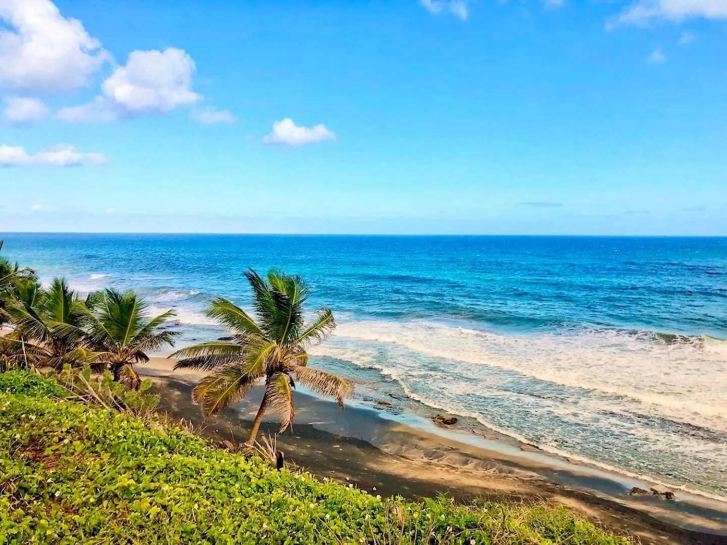 Modern Oceanfront Apartment Arecibo