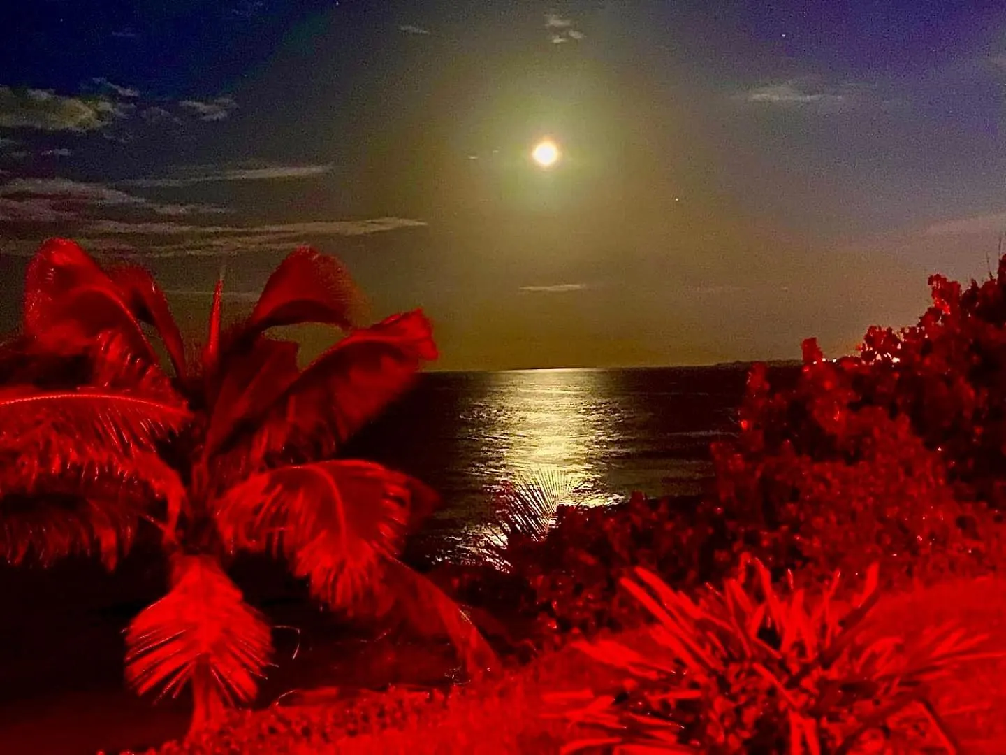 Modern Oceanfront Apartment Arecibo